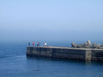 P6010112
