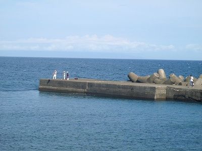 P8110206