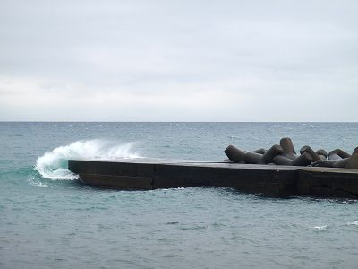 PA240089