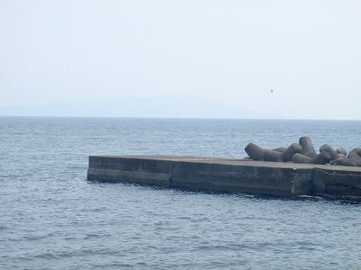 P5140149