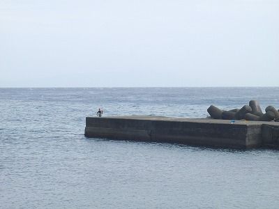 P4070207