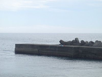 P5310114