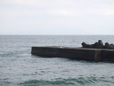 P4160231