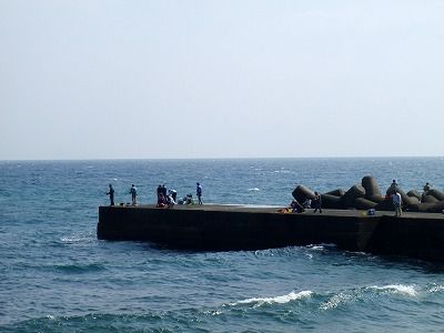 PA090251
