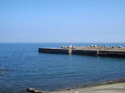 P9010105
