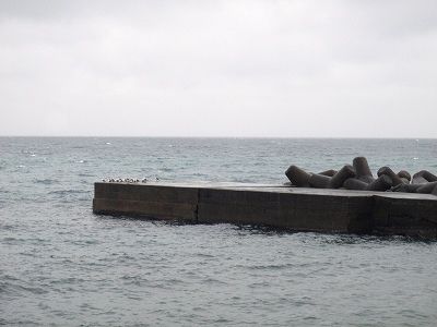 P1220113
