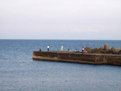 P5200245