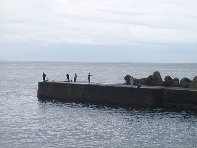 P9100206