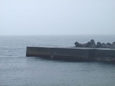P5100231