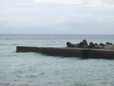 PA210224