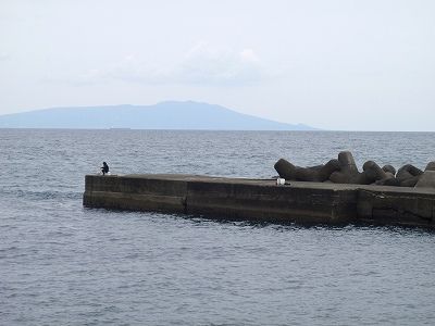 P4170224