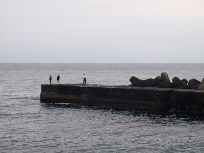 P4200109
