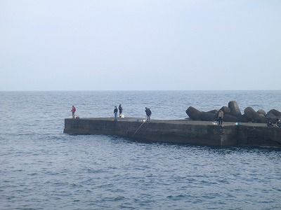 P3200149