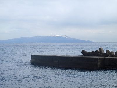 P2050102