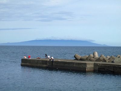 P8290259