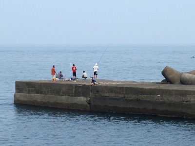 P8010004
