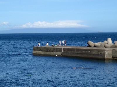 P7190002