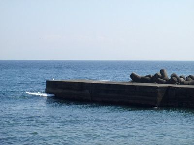 P3150076