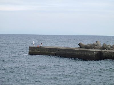 P9110083