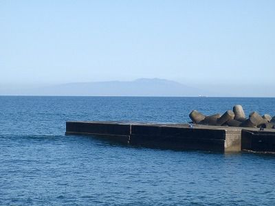 P3170113