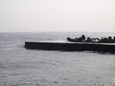 P3210061