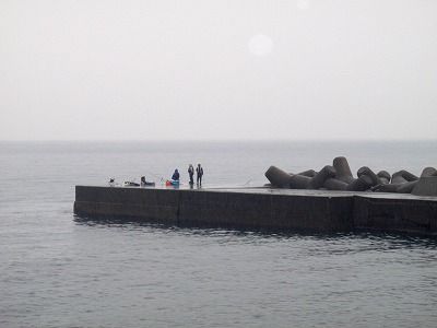 PB230272