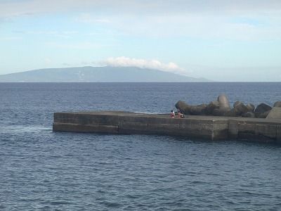 P8050149