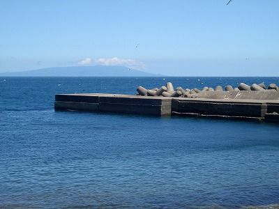 P7130236