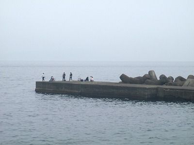 P5260206