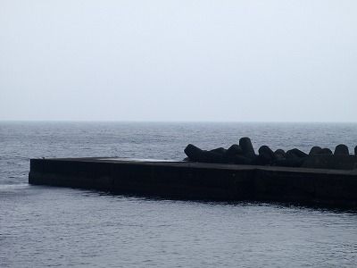 P4270247