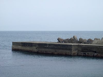 P5200108