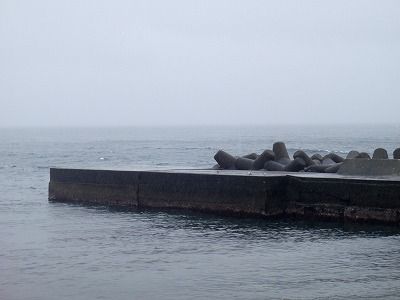 P4090290