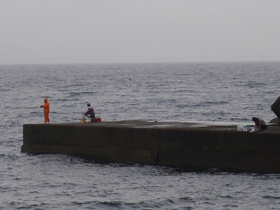 P9300040