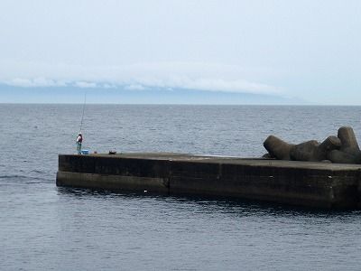 P6100246