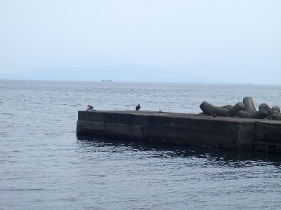 P7010110