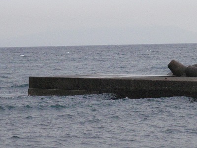 P9030009