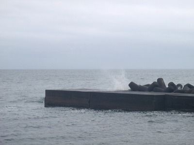 P5230206