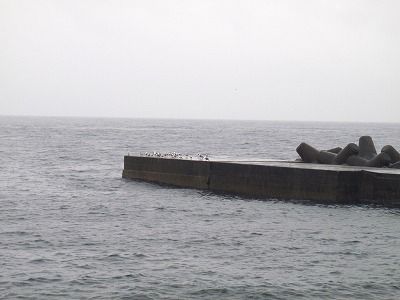 P3010126