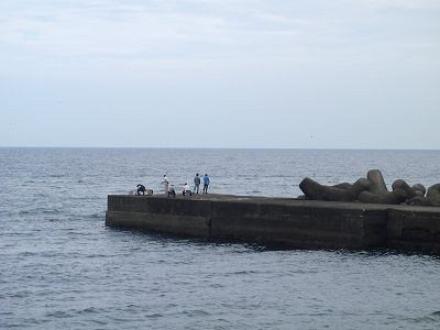 P7040110