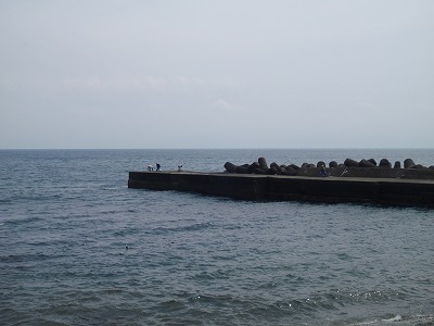 P4010291