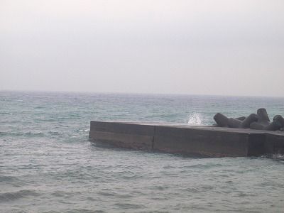 P3090147