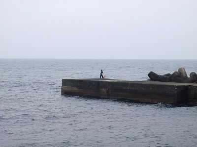 P3010102