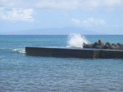 PA020231