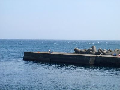 P8300083