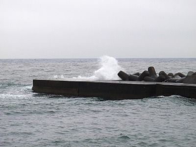 P2230253