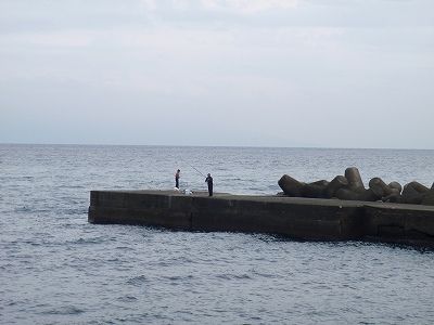 PB090088