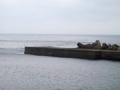 P6190083