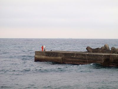 P5060108