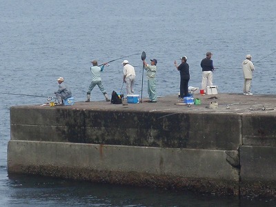 P6090302