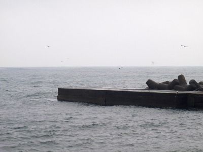 P1220053